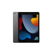 Apple iPad 10.2 inches (9th generation) 256GB Wi-Fi