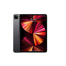 Apple iPad Pro 11 inch M1 2021 Gray and Silver